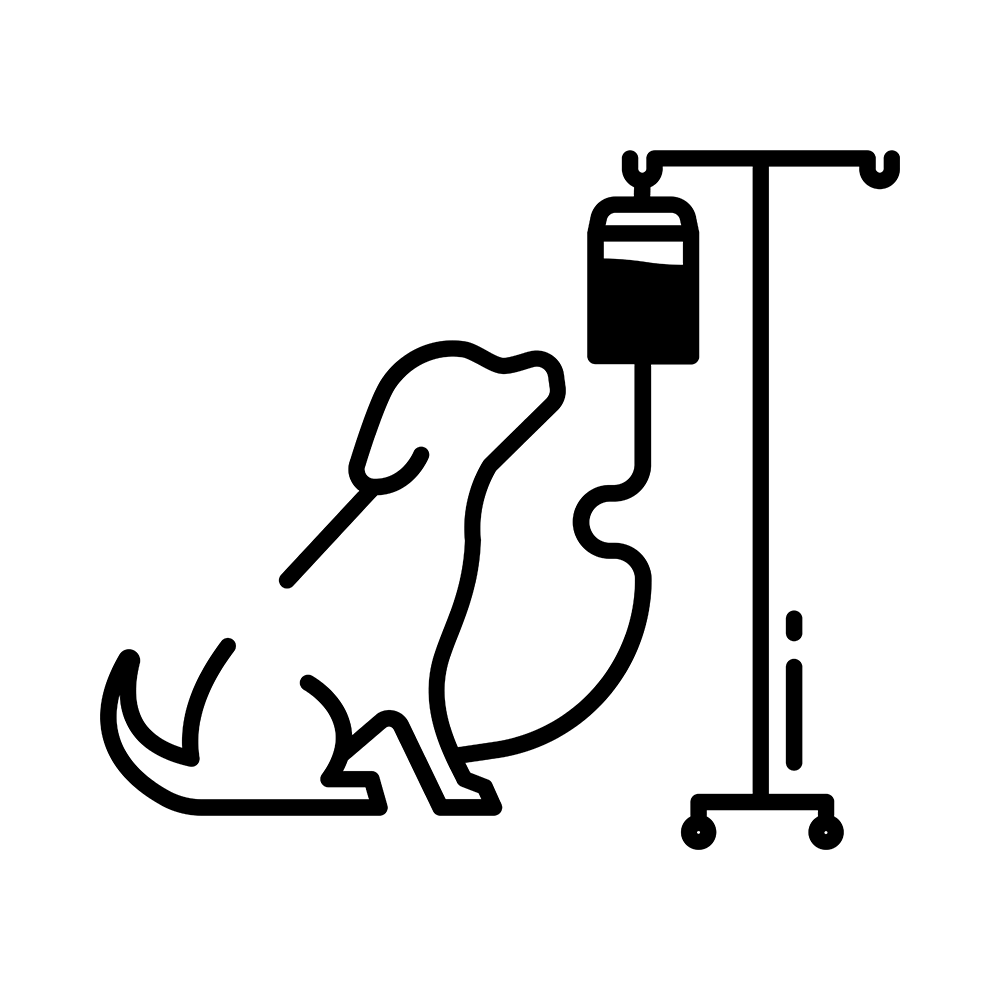 Hunde Blutspender Hunde Blutspender